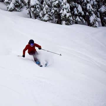 Picture of Women's Edge (Ski)