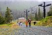 Picture of PORCUPINE  ADVENTURE CAMP - Ages 8-11