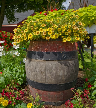 Picture of Flower Drive - Large barrel