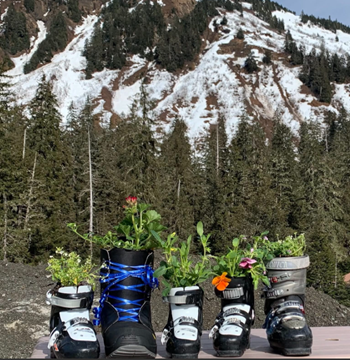 Picture of Flower Drive - Ski Boot center piece